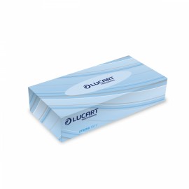 Lucart Strong 100V cosmetic wipes - Pesumati