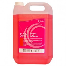 San Gel puhastusaine 5L - Pesumati